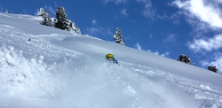 Freeride 1